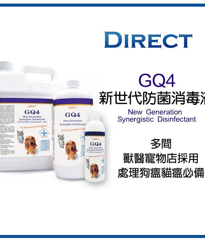 DIRECT GQ4 全效消毒液