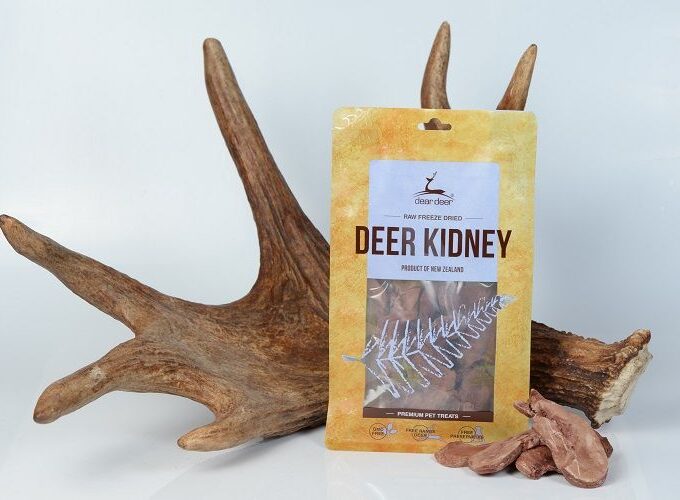 Deer Kidney
