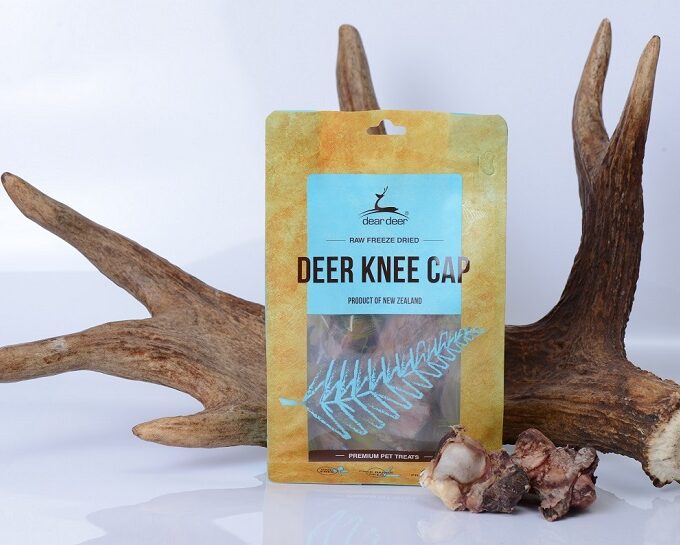 Deer Knee Cap