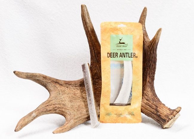Deer Antler Large