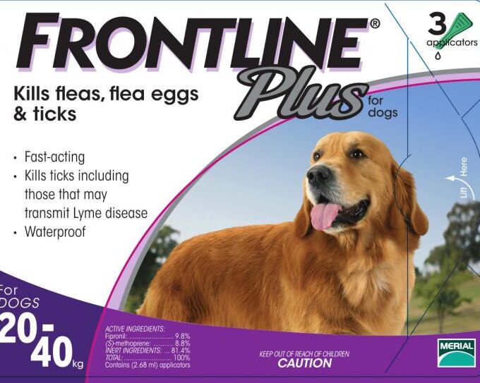 frontline 狗